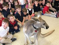 he Creature Teacher.jpg