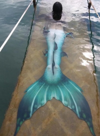 Mermaid back Cropped.png