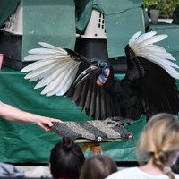 Window to the Wild Cropped.jpg